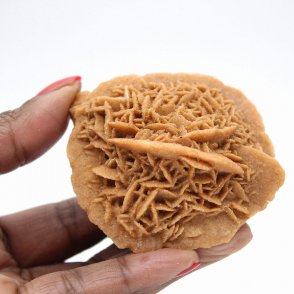 Exemplar de Rosa do Deserto Marroquina: cristalização densa