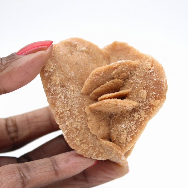 Rosa do deserto de Marrocos: os delicados cristais de gesso.