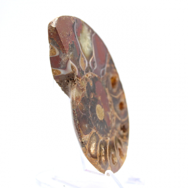 Amonita de Madagascar: Pureza do Mineral