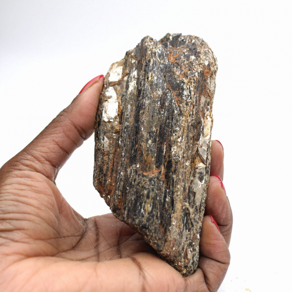 Turmalina Negra de Madagascar - Espécime para Estudo