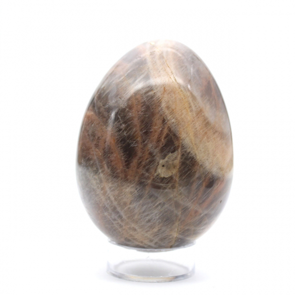 Ovo de Microclina de Pedra da Lua Negra