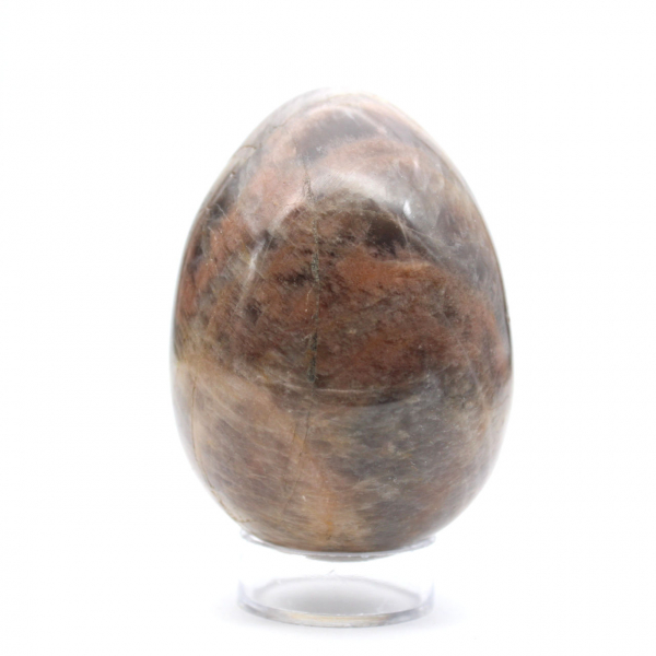 Ovo de Microclina de Pedra da Lua Negra