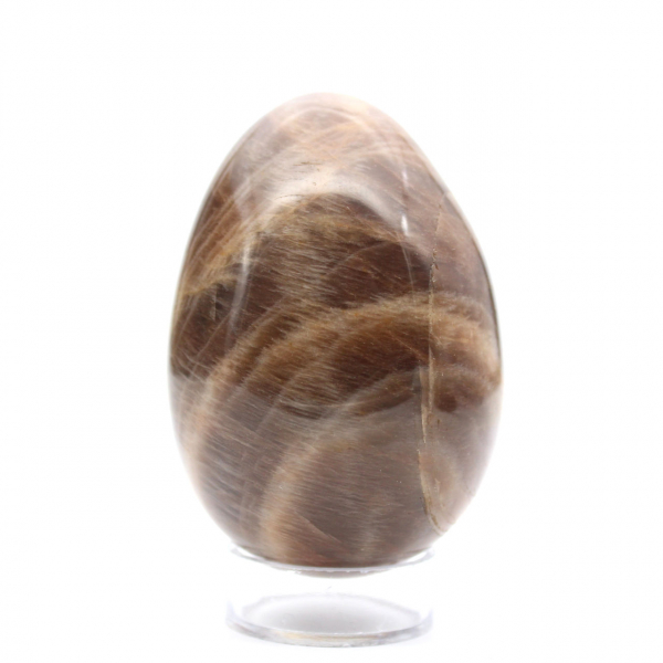 Ovo Preto Microcline 260g - Madagascar