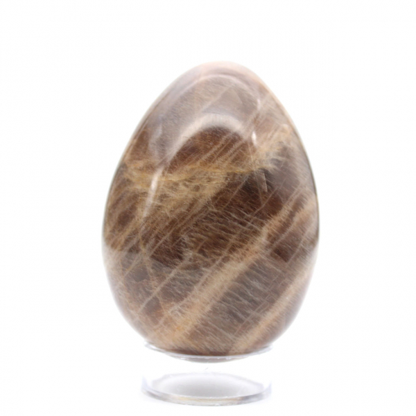 Ovo Preto Microcline 260g - Madagascar