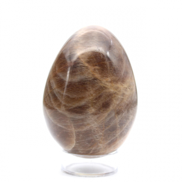 Ovo Preto Microcline 260g - Madagascar