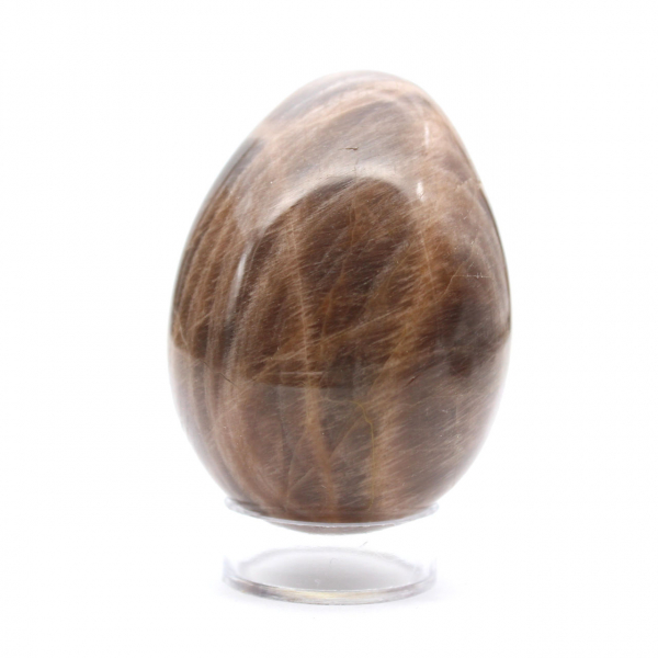 Ovo Microclina Preto de Madagascar 235g