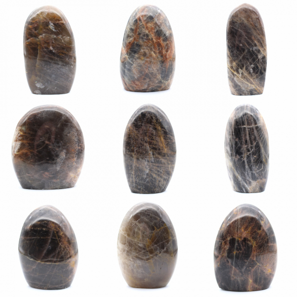 Microclina ornamental