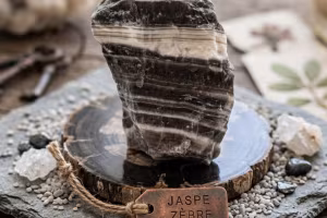 Jaspe zebra
