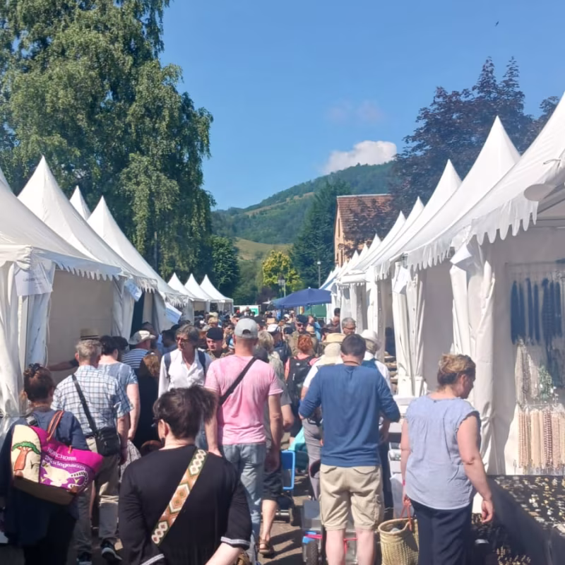 Mineral & Gem 2025: uma grande exposição mineralógica internacional allee smam 2025 2