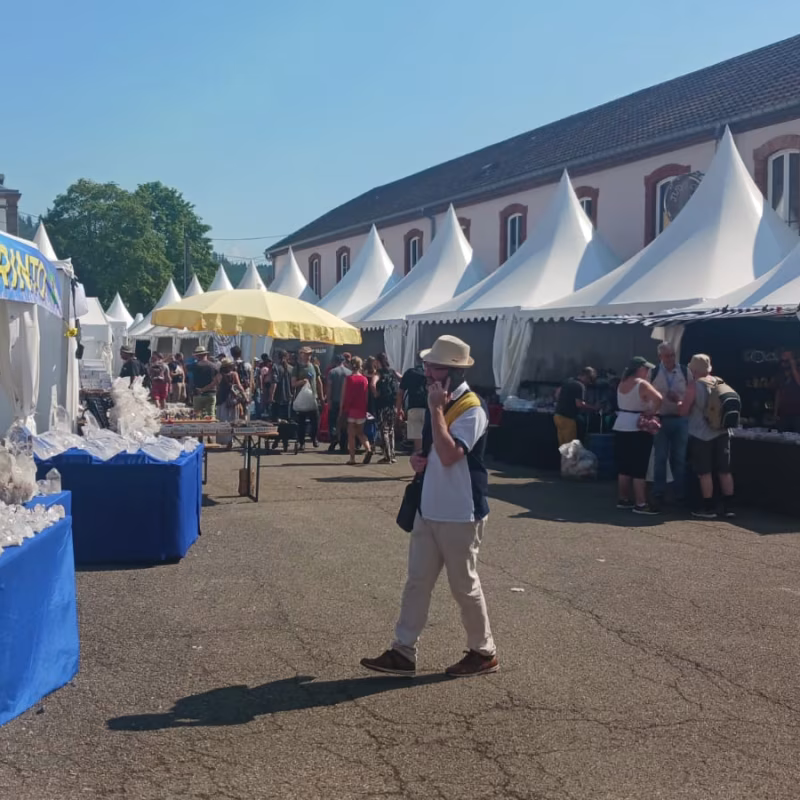 Mineral & Gem 2025: uma grande exposição mineralógica internacional allee smam 2025 3
