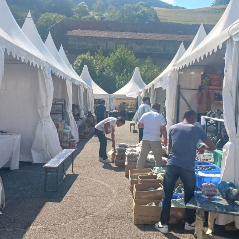 Mineral & Gem 2025: uma grande exposição mineralógica internacional allee smam 2025 6