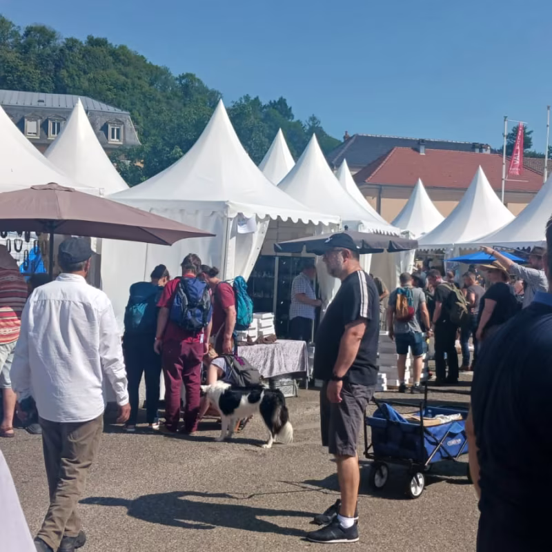 Mineral & Gem 2025: uma grande exposição mineralógica internacional allee smam 2025