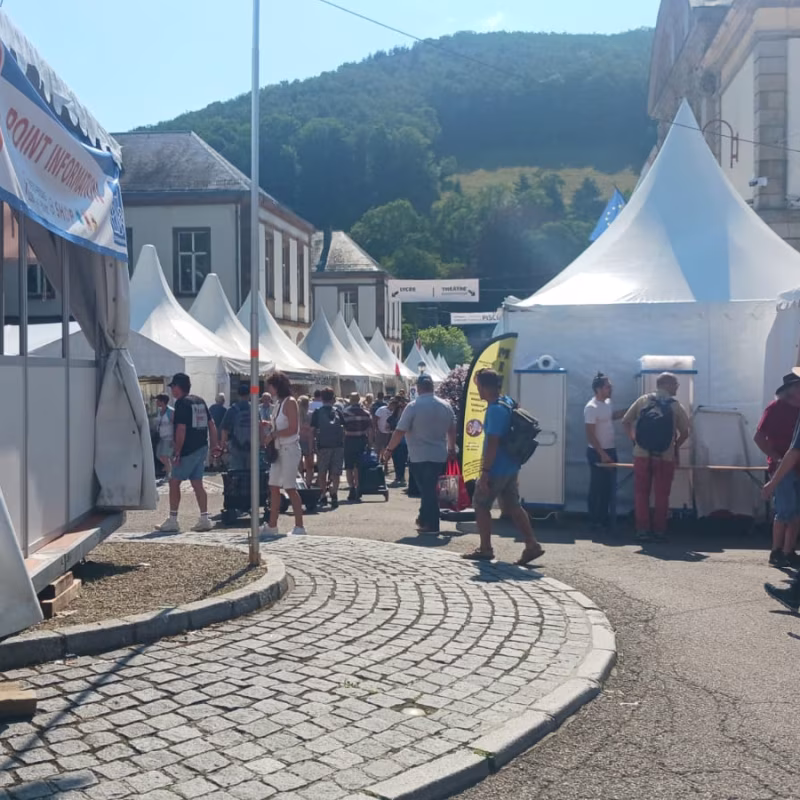 Mineral & Gem 2025: uma grande exposição mineralógica internacional allee smam 20254