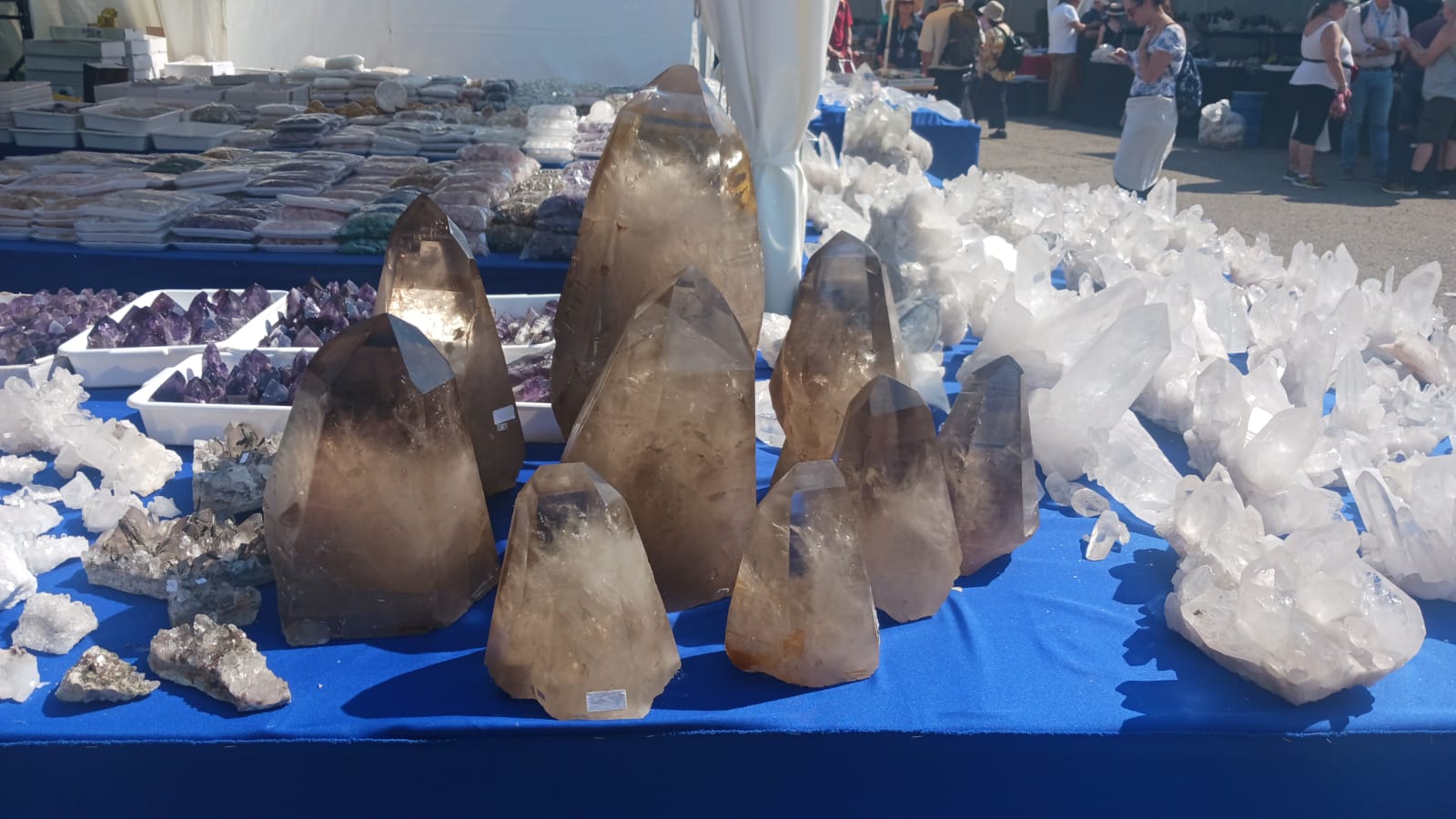 Mineral & Gem 2025: uma grande exposição mineralógica internacional