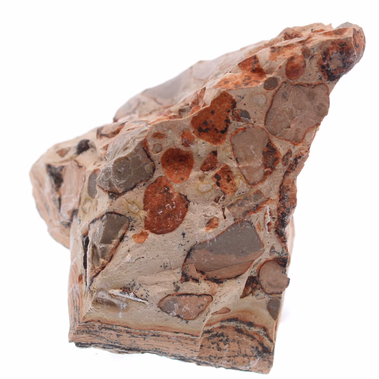 Leopardite