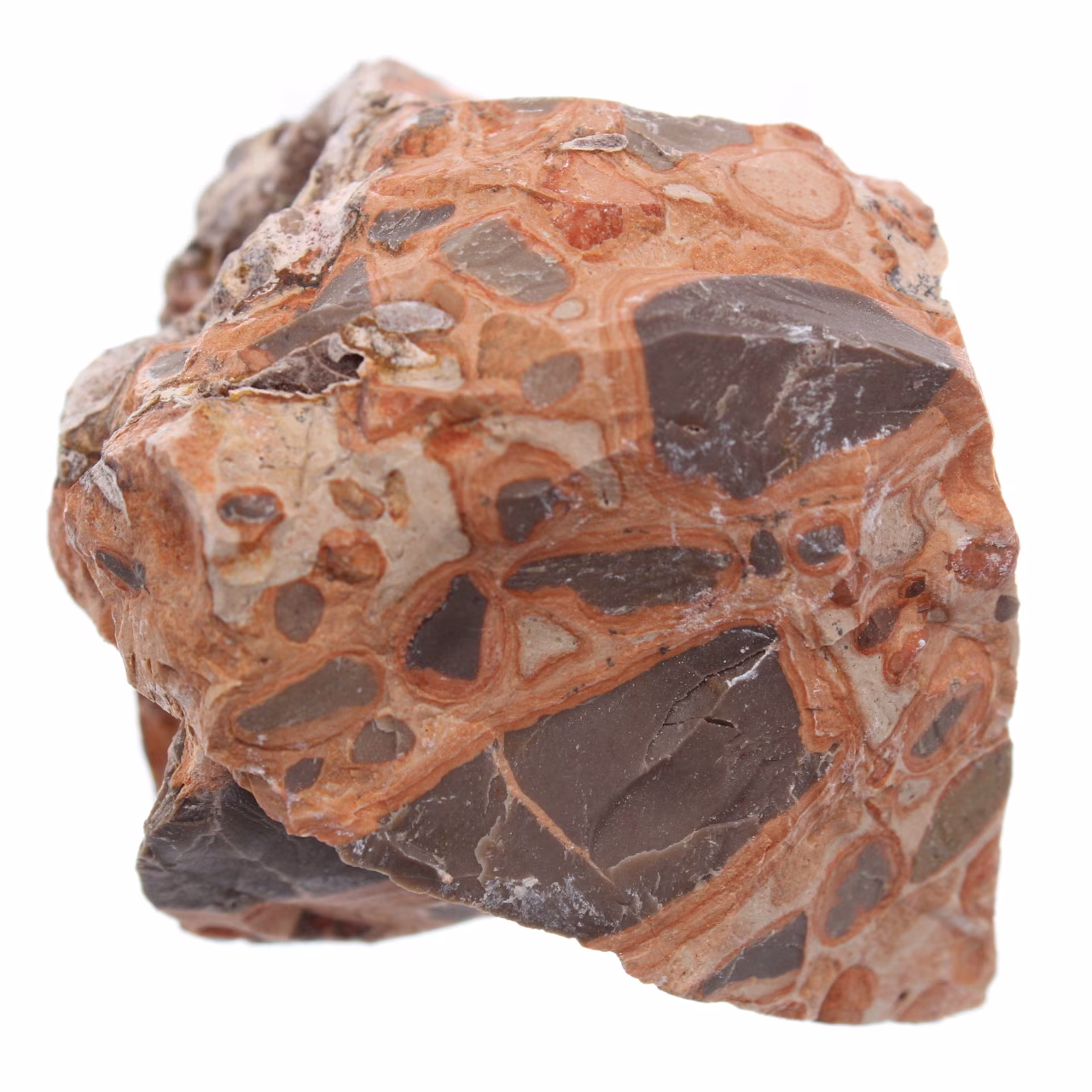 Leopardite