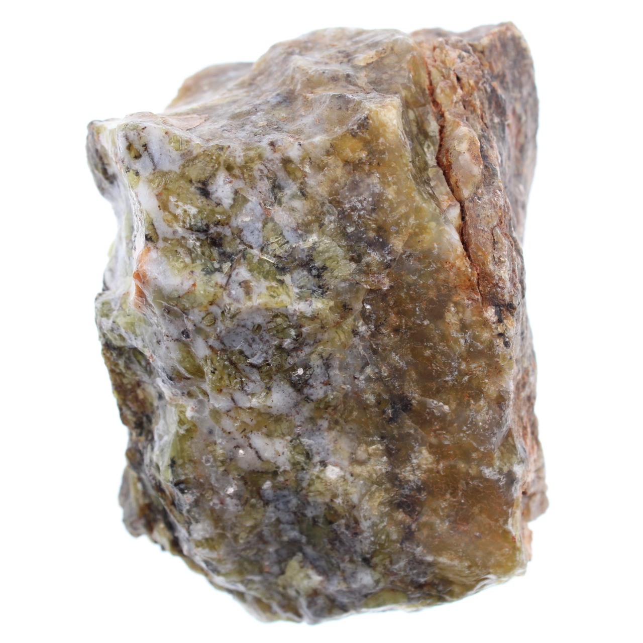 Opala dendrita