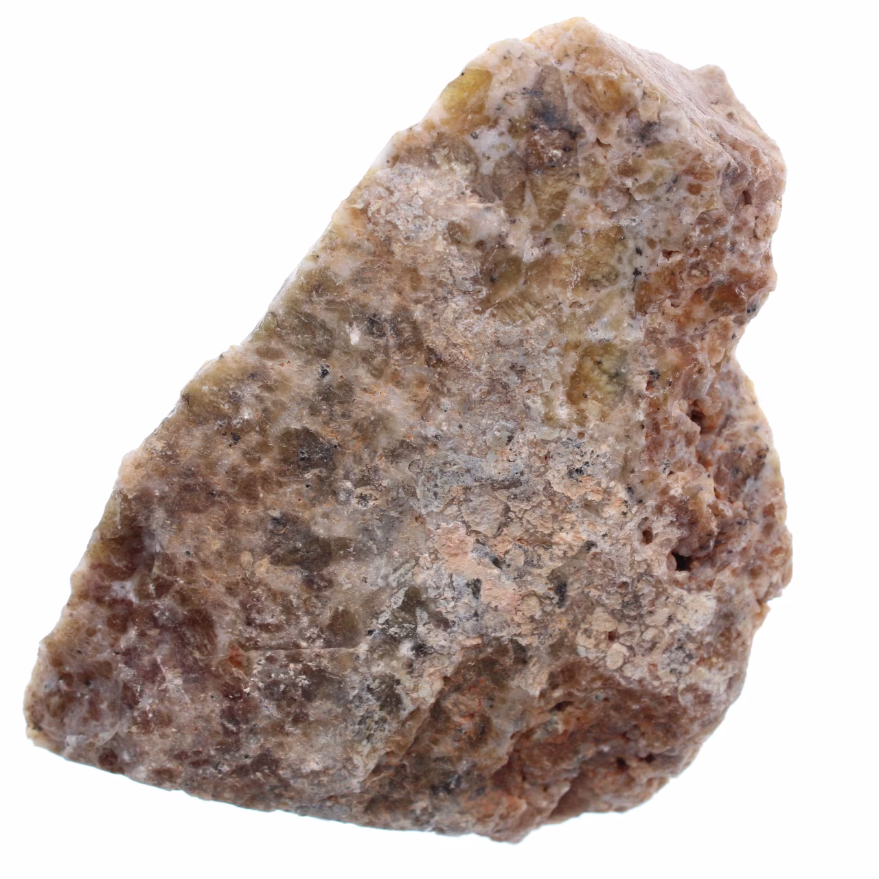 Opala dendrita