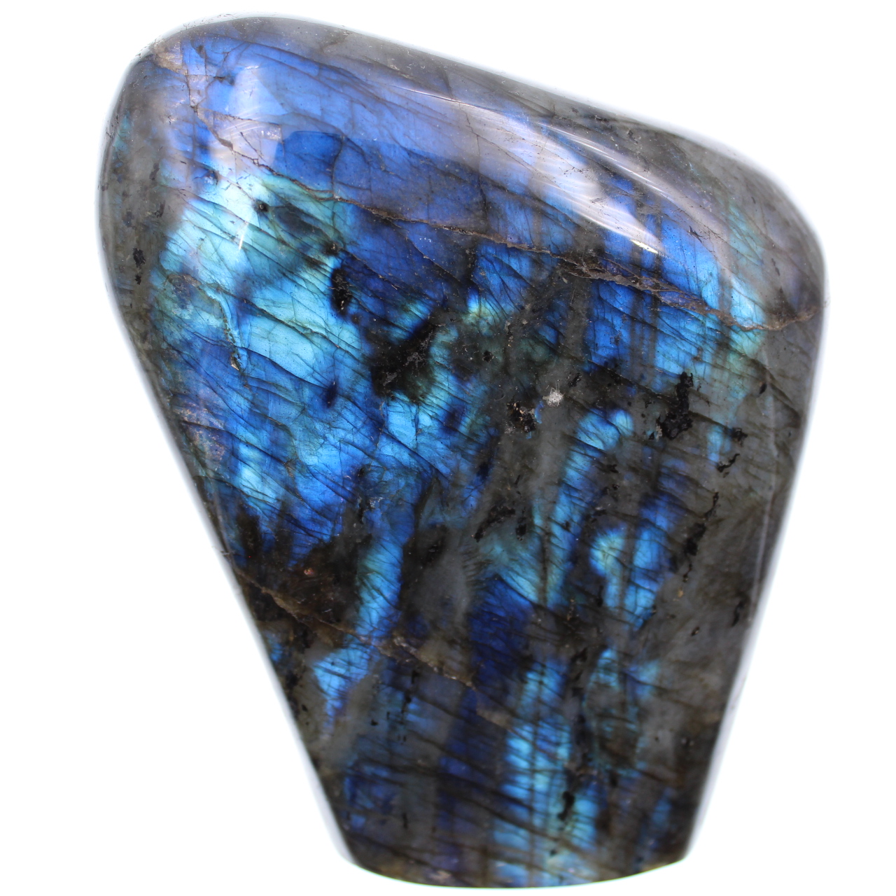 Ornamental freeform em labradorite azul
