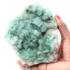 Cristais cúbicos de fluorita verde em fluorita maciça - 0