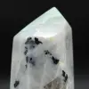 Prisma Garnierita de Madagascar - 5