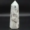 Prisma Garnierite - 0
