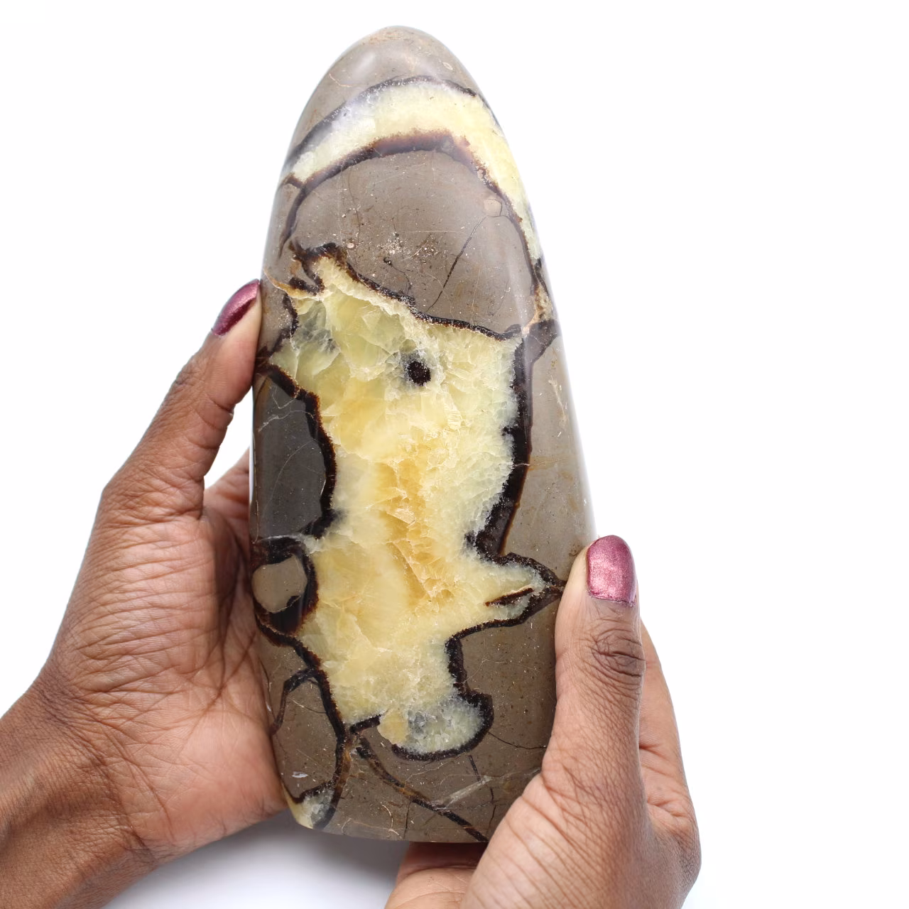 Pedra de septaria