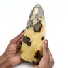 Septaria polida de Madagascar - 0