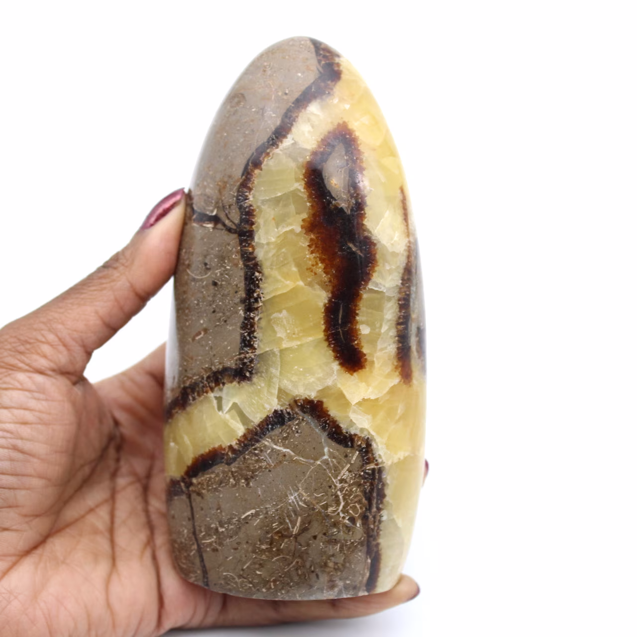 Pedra de septária polida