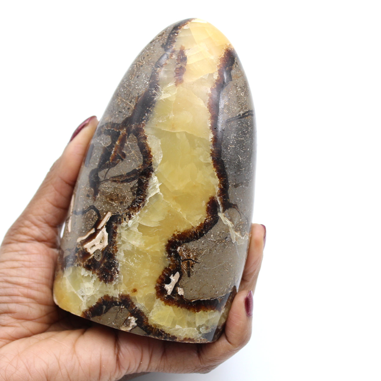 Pedra da Septaria