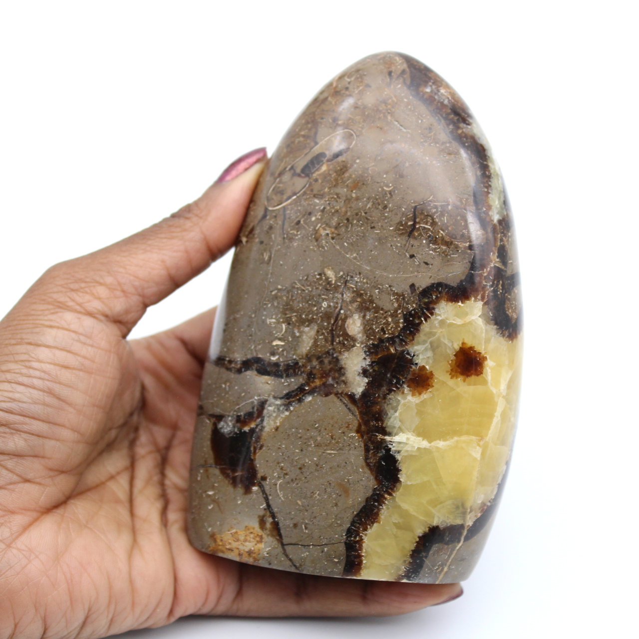 Pedra de septária polida
