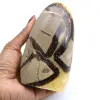 Pedra de septaria - 0