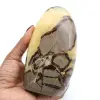 Septaria polida de Madagascar - 0
