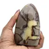Pedra de septaria - 0