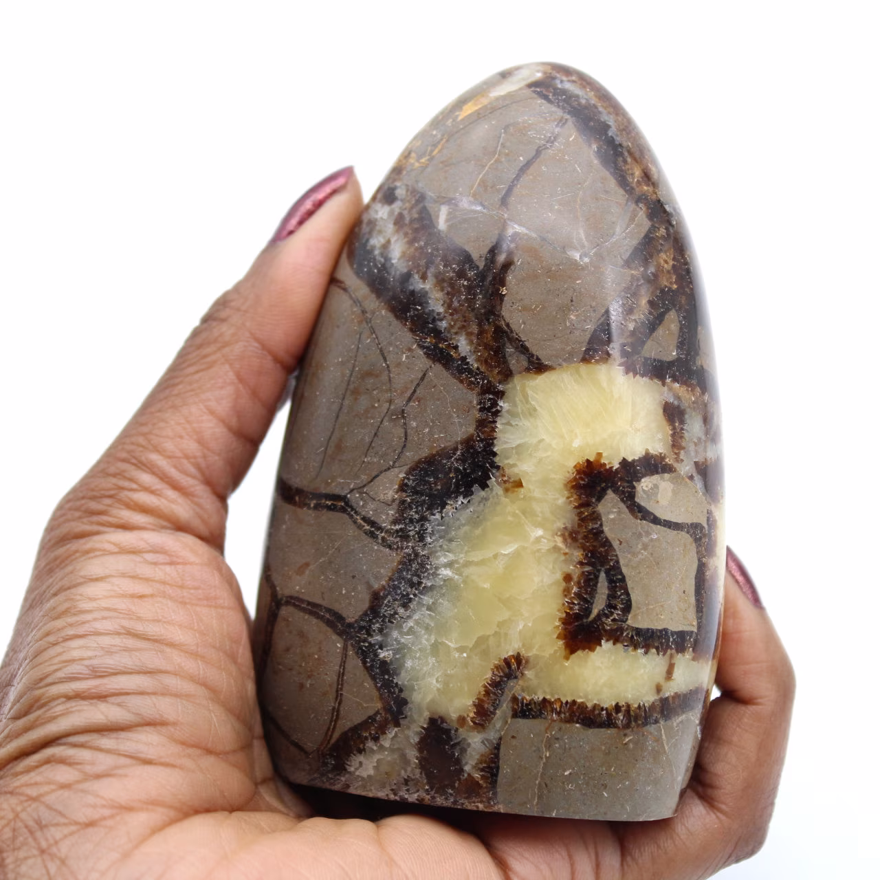 Pedra de septaria