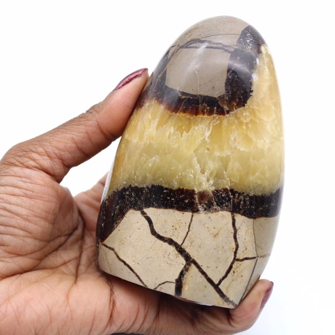 Septaria de Madagascar
