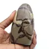 Pedra de septária polida - 0