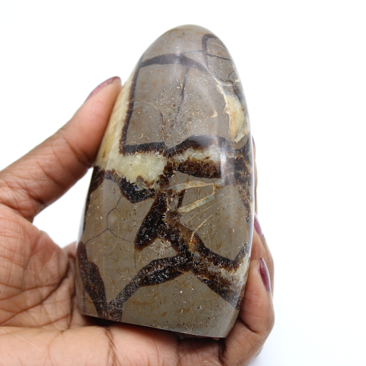 Pedra de septária polida