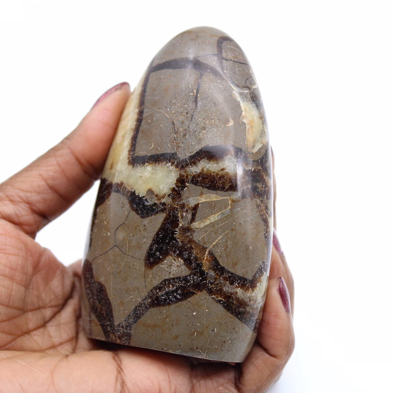 Pedra de septária polida