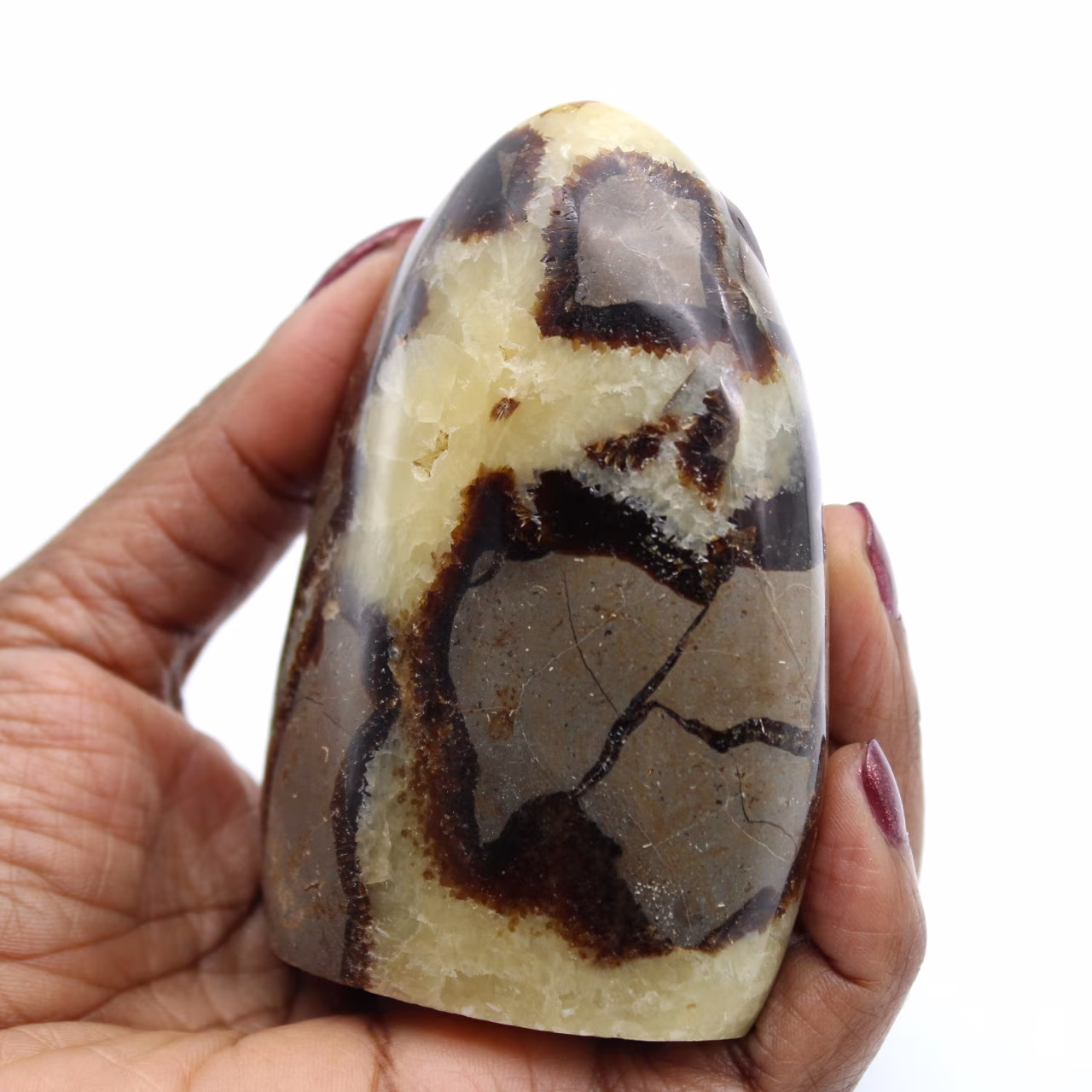 Pedra da Septaria