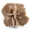 Rosa do Deserto - 0