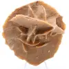 Rosa do Deserto - 0