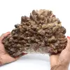Calcite Mariposa do México, calcita fantasma - 0