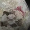 Pedra ornamental com inclusão de turmalina - 8