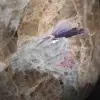 Pedra com inclusão de turmalina de Madagascar - 5