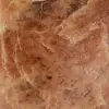 Pedra lunar de microlinhas rosa polida de Madagascar - 5