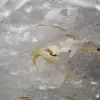 Quartzo de cristal de rocha de forma livre - 5