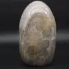 Jasper de fita cinza natural colecionável - 1