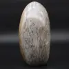 Jasper de fita cinza natural colecionável - 2