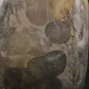 Jasper de fita cinza natural colecionável - 5